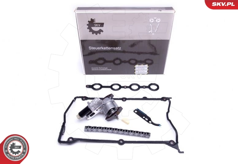 Timing Chain Kit